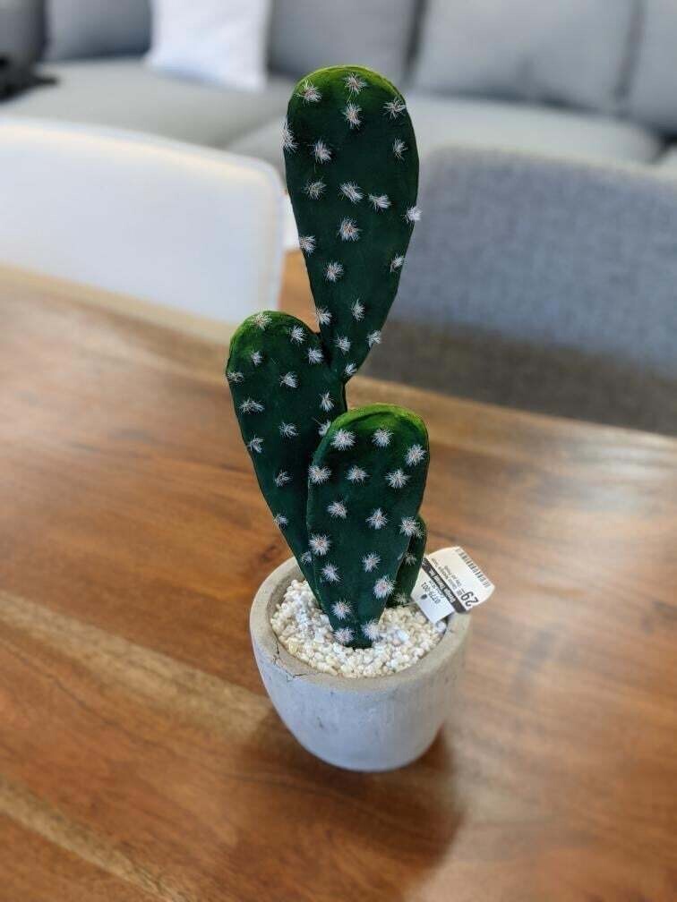 Cactus Nostalgia Taupe Clay pot Prickly
