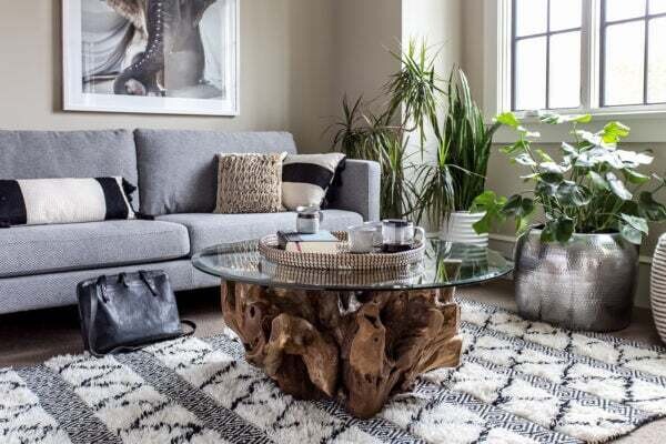 SIF Natura Root Coffee Table Large NAT-013 W/48” glass