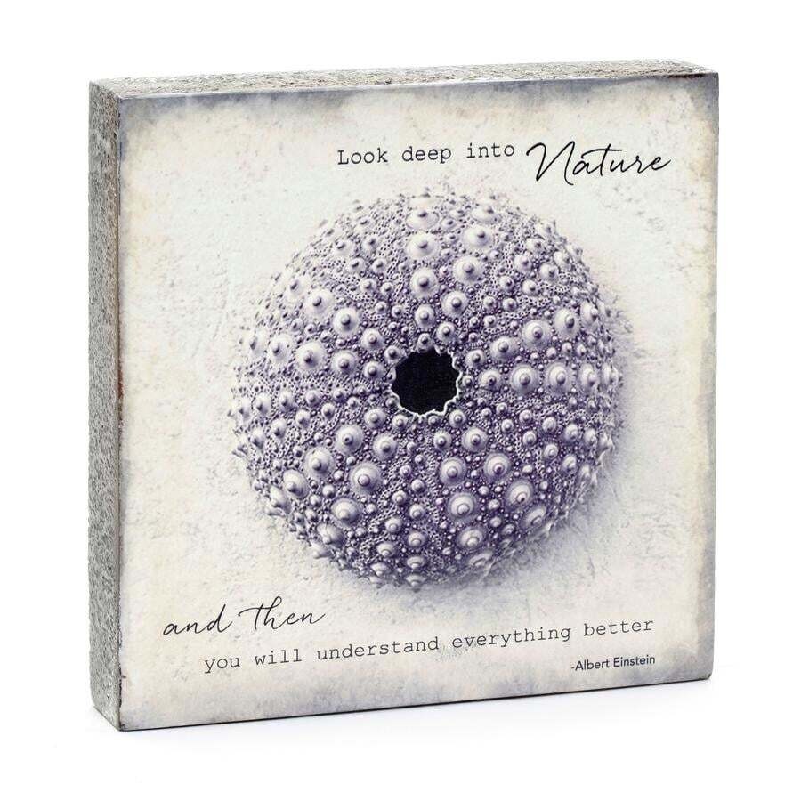 Cedar Mountain Art Block Look Deep Into Nature LF5241