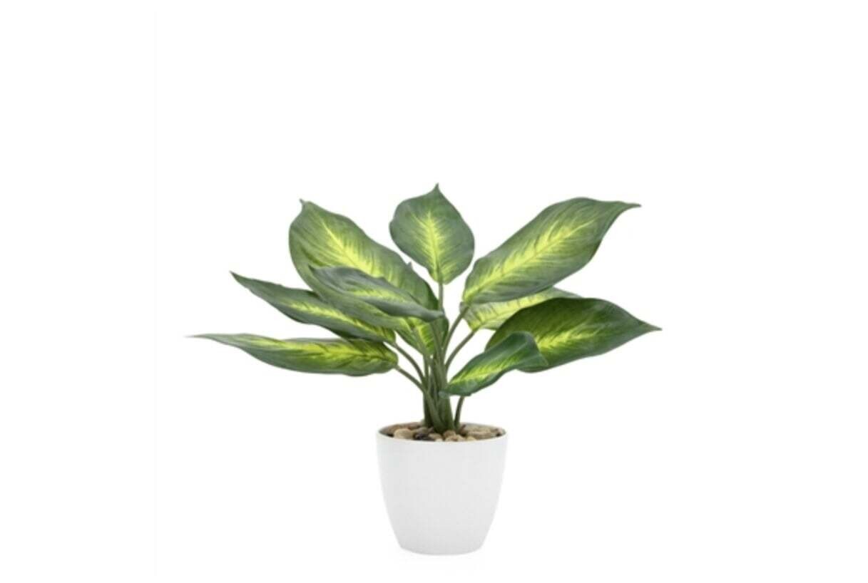 Plant T&T Villa Faux Potted  Dieffenbachia 11”   903179A