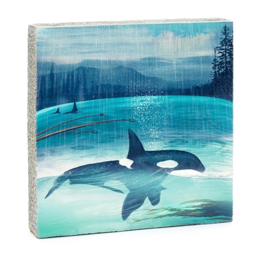 Cedar Mountain Art Block Orca Spray LF6046