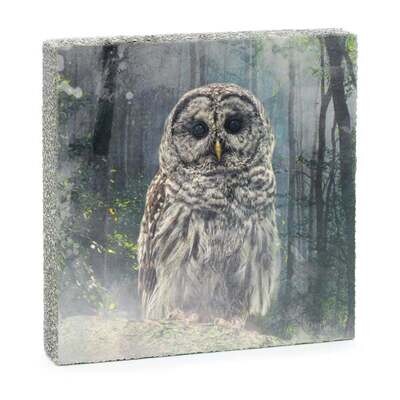 Cedar Mountain Art Block Forest Owl LF4318