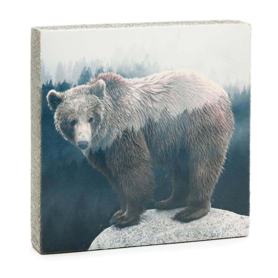 Cedar Mountain Art Block Forrest Bear