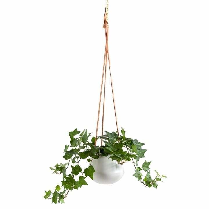 Planter T&T Hanging Ceramic Ashbury White 5” 902919A