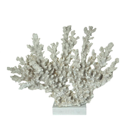 Coral Nostalgia White 818-038
