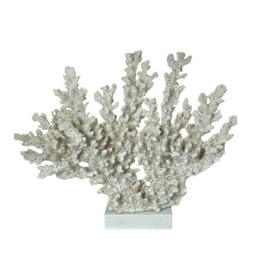 Coral Nostalgia White 818-038