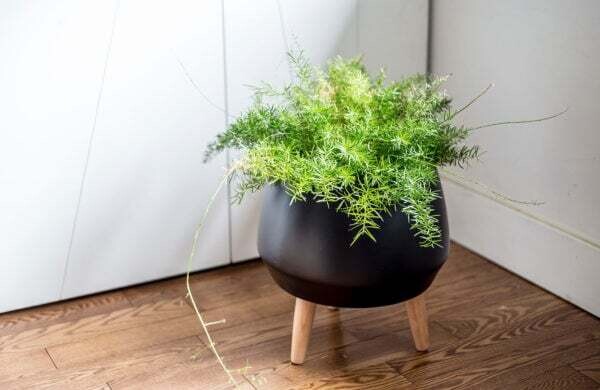 Planter SIF Circa Pot Black AGW-006