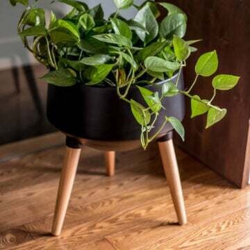 Planter SIF Circa Mood Black AGW-007 Planter SIF Circa Mood Black AGW-007