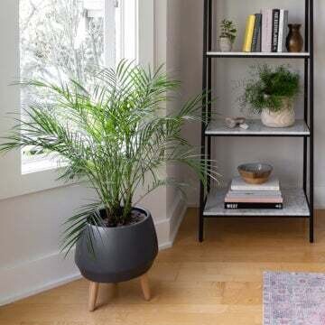 Planter SIF Circa Pot Charcoal AGW-019 Planter SIF Circa Pot Charcoal AGW-019