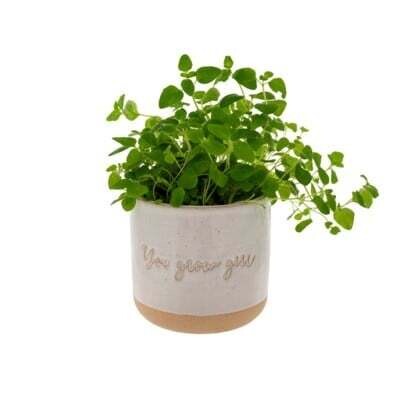 Planter Pot Indaba You Grow Girl 3-9308