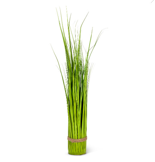 Plant Abbott Tall Grass Bundle 27-SAVANNAH-016