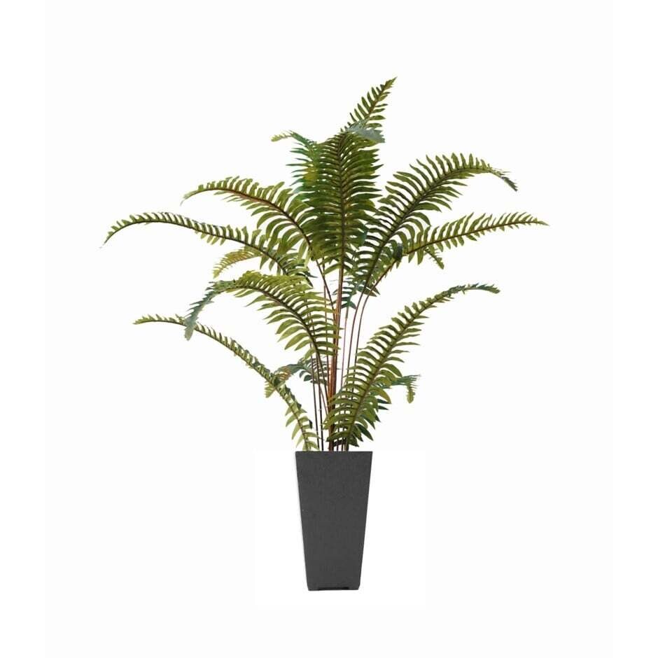 Fern Nostalgia Potted 780-016