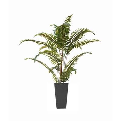 Fern Nostalgia Potted 780-016