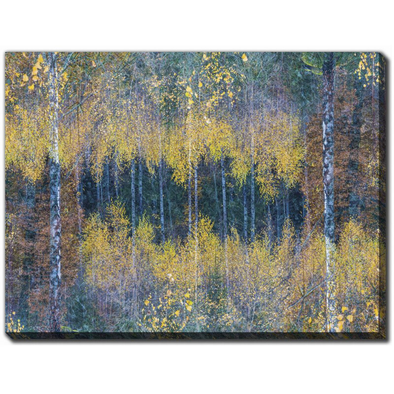 Streamline Art Flourishing Forest 36 x 48 AWE92160