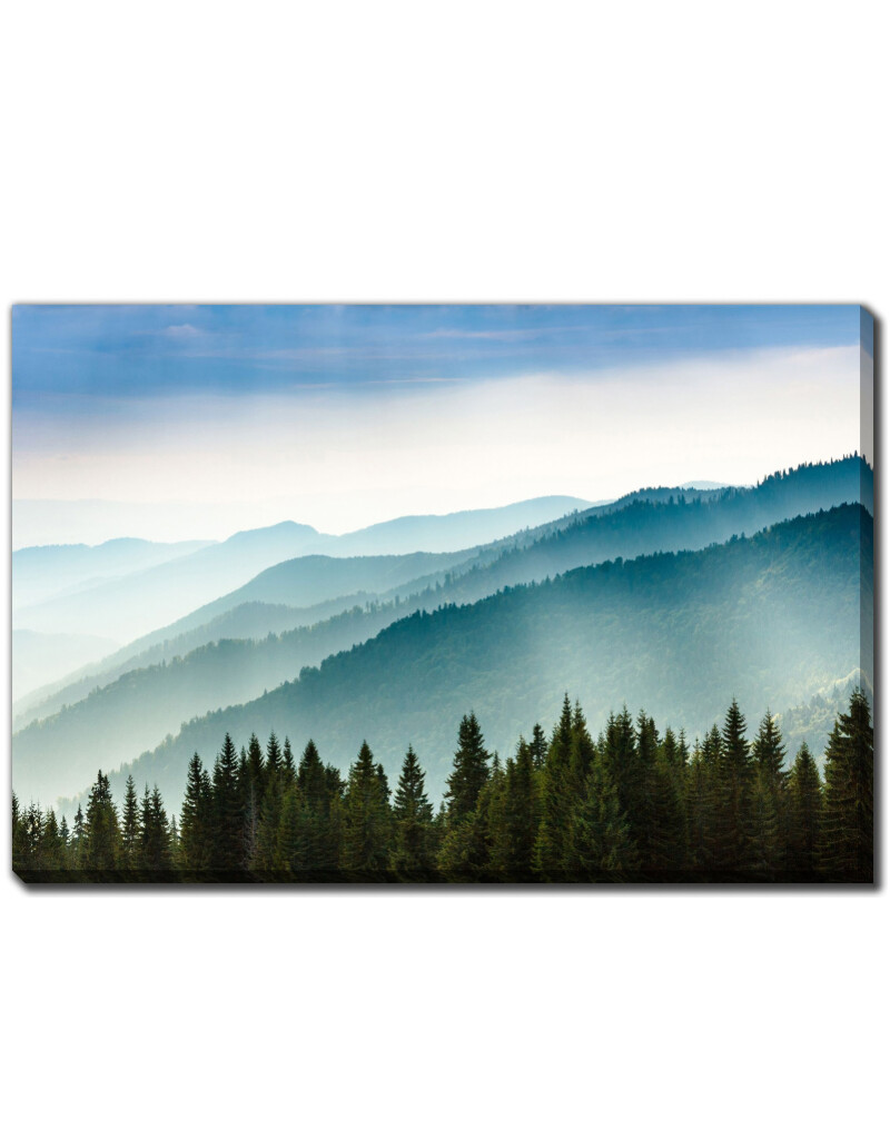Streamline Art Morning Mist Coniferous 30 x 45 D3518-3045
