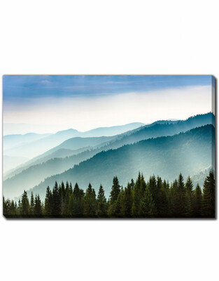Streamline Art Morning Mist Coniferous 30 x 45 D3518-3045