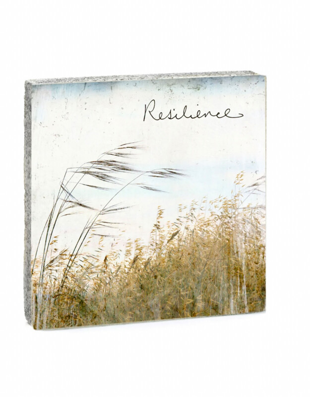 Cedar Mountain Art Block Resilience Cedar Mountain Art Block Resilience