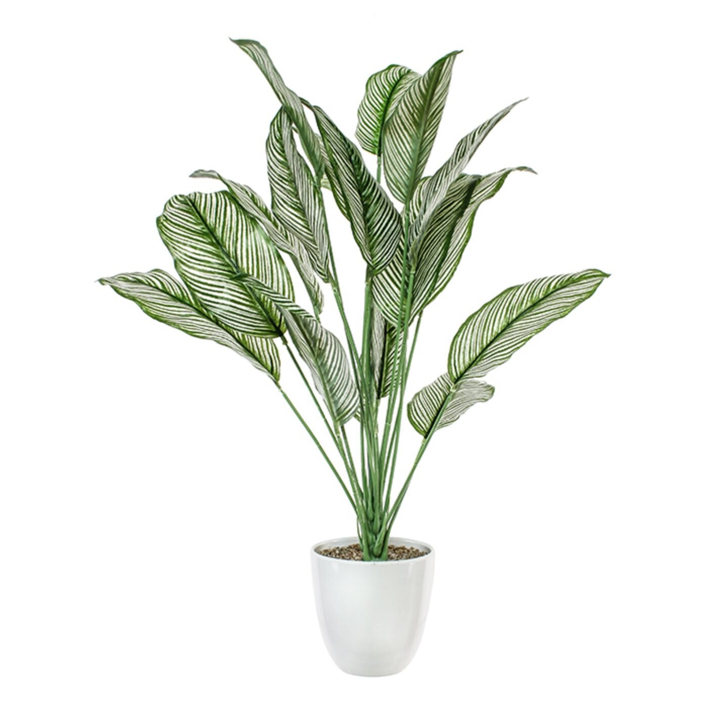 Plant Danson Potted Plastic Calathea Green 26”