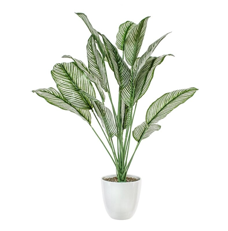 Plant Danson Potted Plastic Calathea Green 26” Plant Danson Potted Plastic Calathea Green 26”