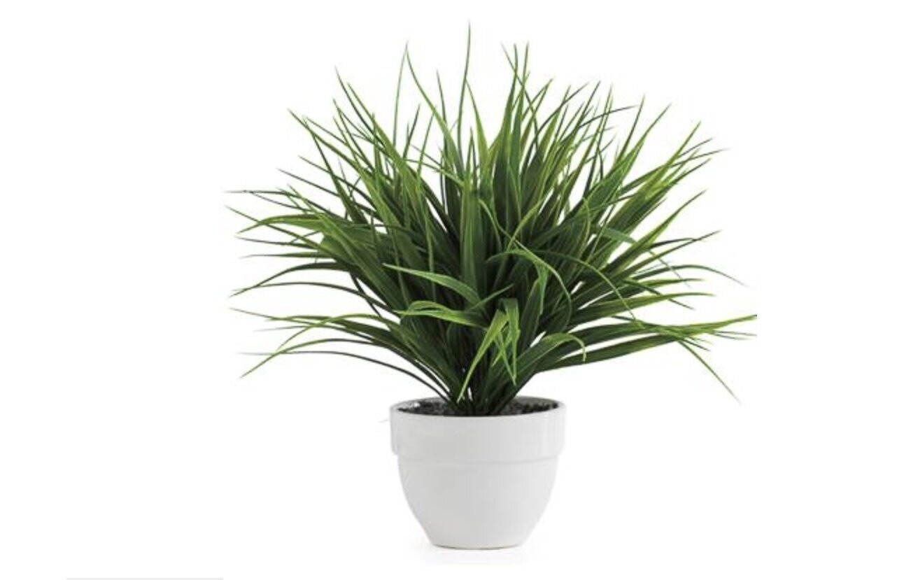 Plant T&T Grass Potted Faux Dark Green  1636-100201