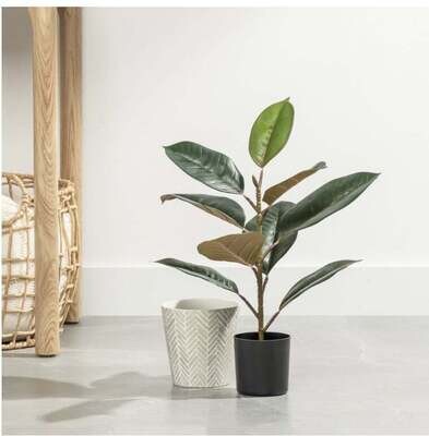 Plant T&T Yucca Tree Faux Potted 55”H  904527