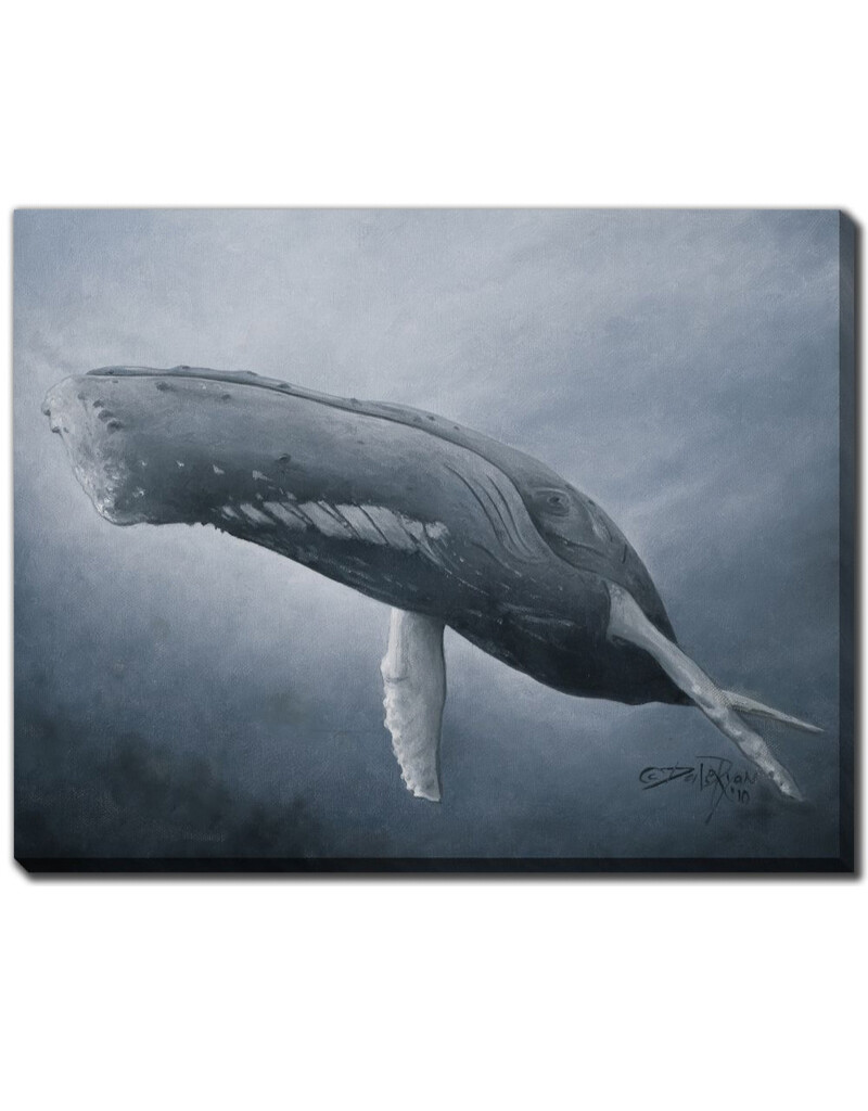 Streamline Art Blue Beauty 30 x 45 DDR2375