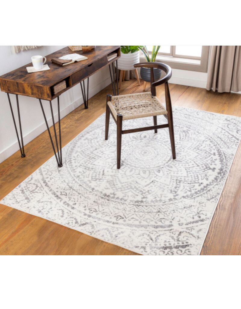 Rugs Surya Pisa 4’11 x 7 PSS2326-57