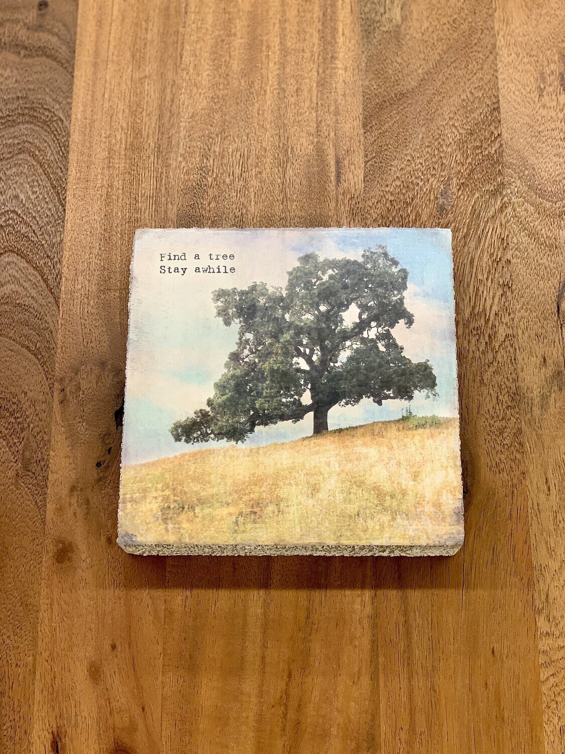 Cedar Mountain Art Block Find A Tree