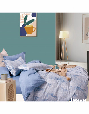 Duvet Cover Contempo Jesse Queen  w/ shams
