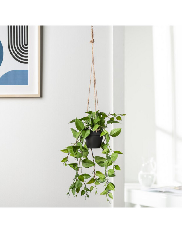 Planter T&T Hanging Ivy 904113 Planter T&T Hanging Ivy 904113