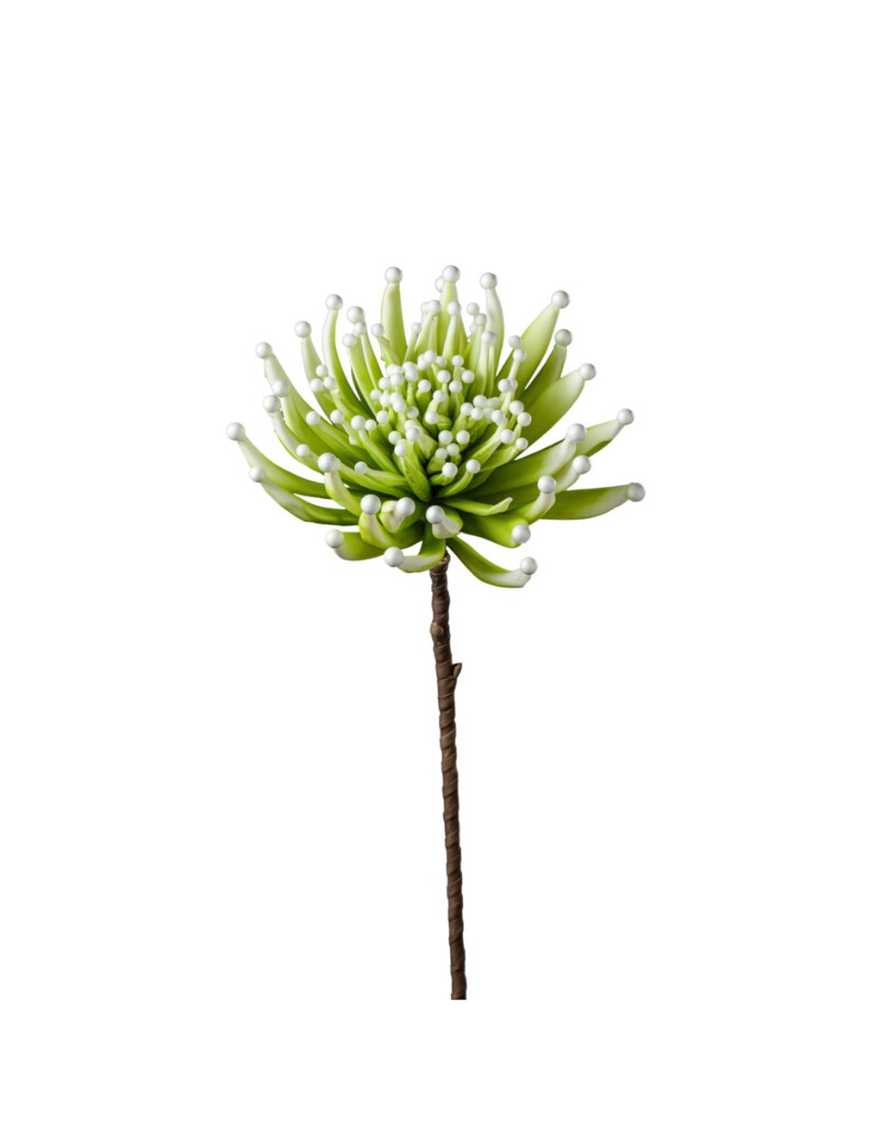 Floral T&T Desert Zinnia Burst Stem Green 902323B