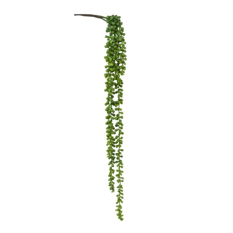 Plant Nostalgia Beans Leaf Stem  778-042