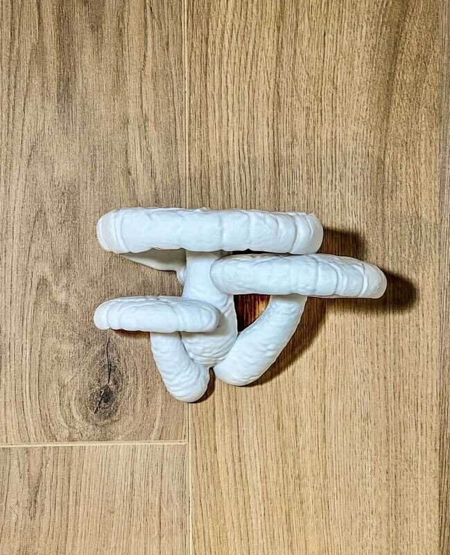 Shelf Flowerstone 3D Shitake Mushroom