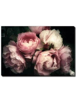 Streamline Art Bouquet Of Pink Roses 30 x 45 Streamline Art Bouquet Of Pink Roses 30 x 45