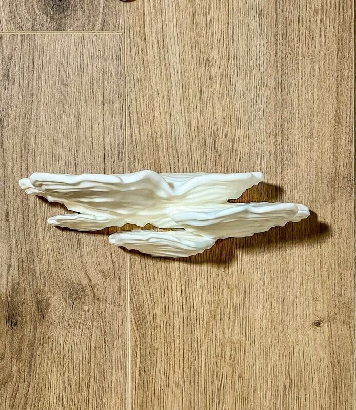 Shelf Flowerstone 3D Ostrea Fungus