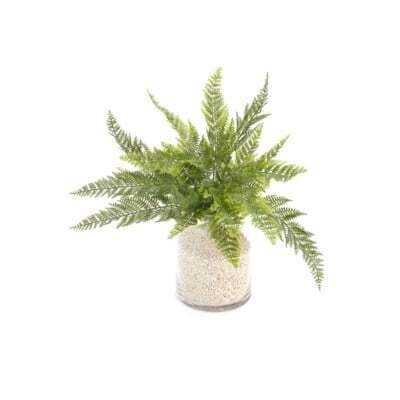 Plant PC Lace Fern Bush Green 20” 4781417