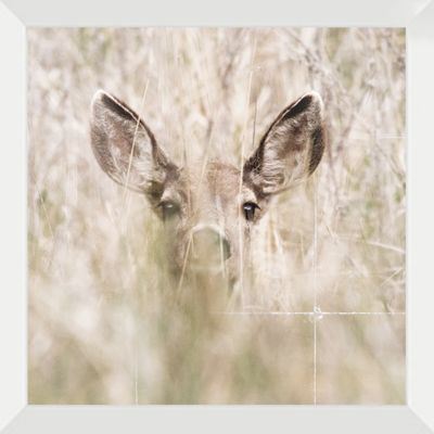 Art Northwood Framed Deer Head N4805
