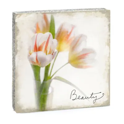 Cedar Mountain Art Block Beauty LF5287