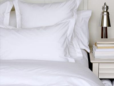 Sheets Cuddledown Percale Fashion Queen Fitted Lilac ( 83 )