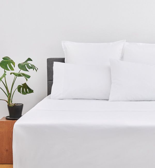 Sheets Cuddledown Percale Deluxe Queen Flat White ( 10 )