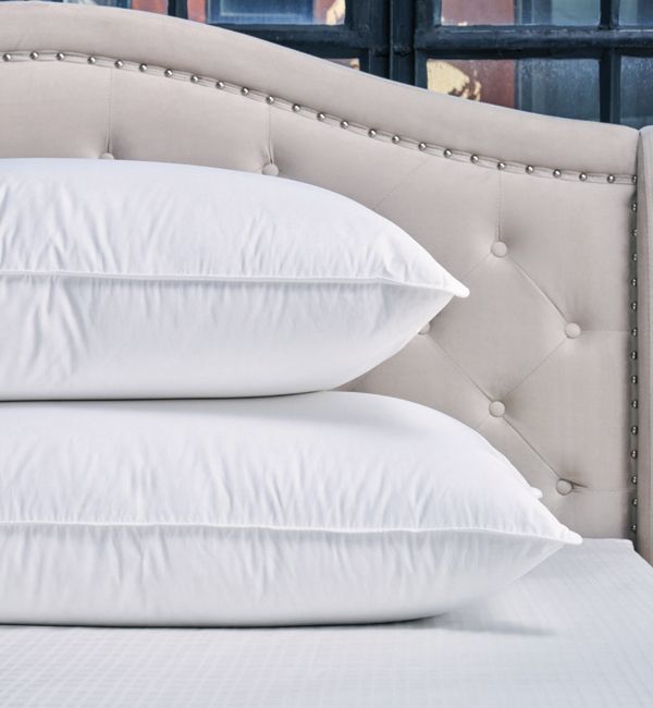 Pillow Cuddledown Suprelle Standard