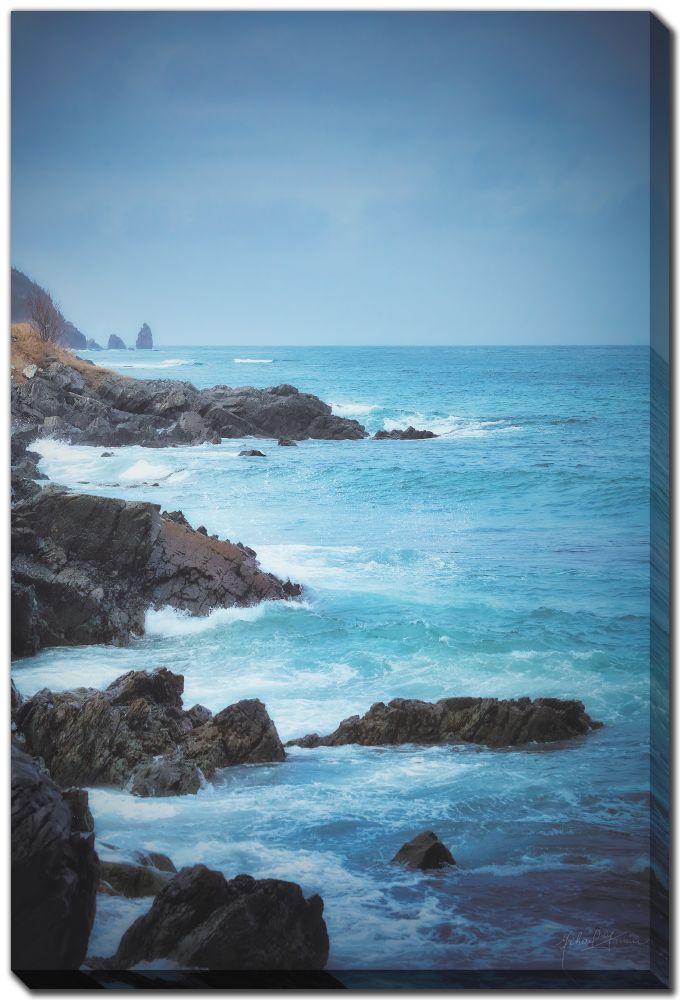 Streamline Art Sharpe Jagged Coastal Rocks Harbour 30x45