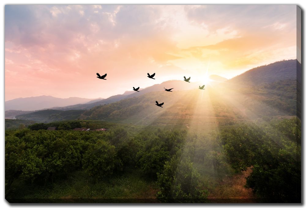 Streamline Art Silhouette Flock 30 x 45 D3700-3045
