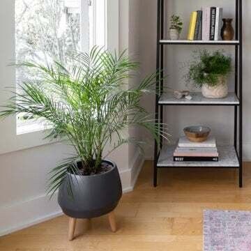 Planter