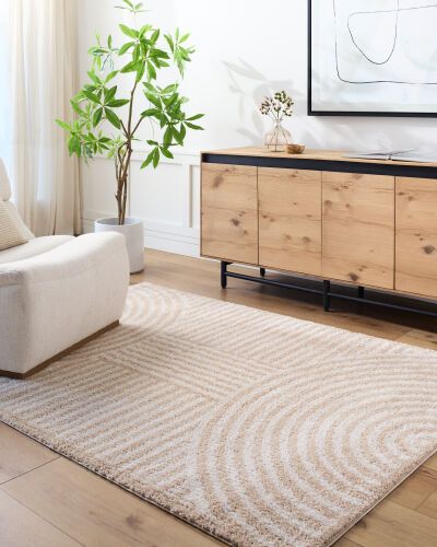 Rugs Surya Fossay Shag 5'3" x 7' FSG2332-537