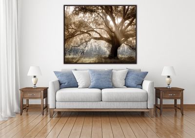 Streamline Art Virginia Oak 40 x 50 WBG24332