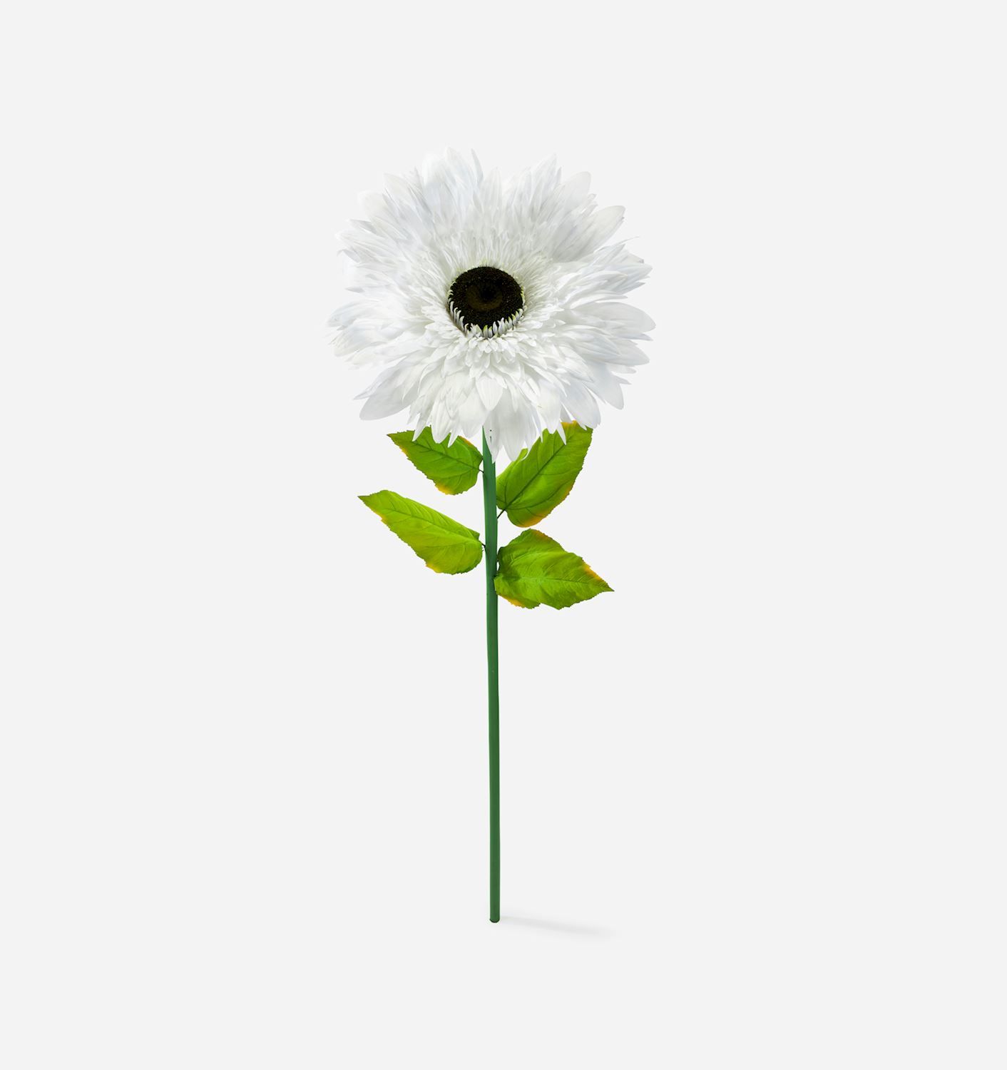 Plant Giftcraft White Gerbera Flower 725533