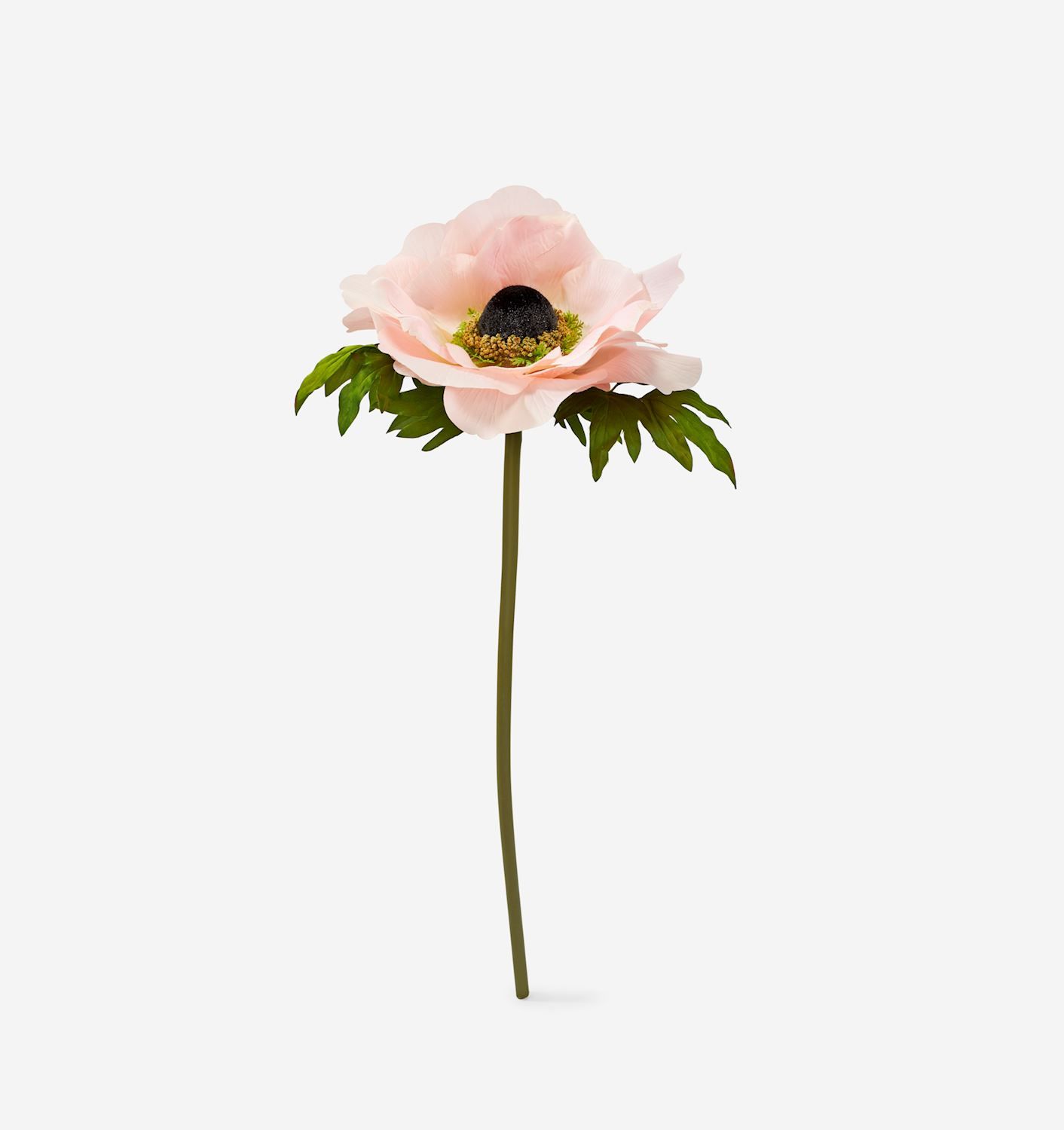 Plant Giftcraft Blush Pink Anemone Flower 725535