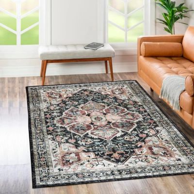 Rugs Viana Brio 4x6 BRI-46-1002