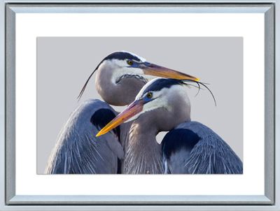 Art Northwood Together N4953 33x43